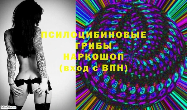 тгк Володарск