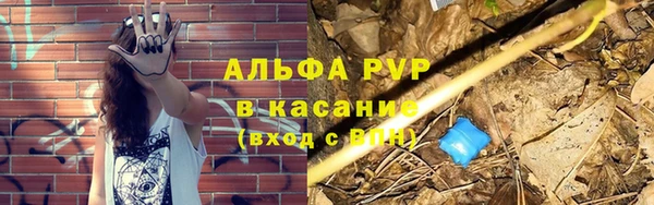 тгк Володарск