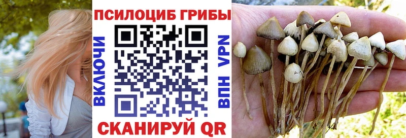 Галлюциногенные грибы Psilocybine cubensis  Северская 
